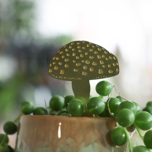 Mini Mushrooms Another Studio