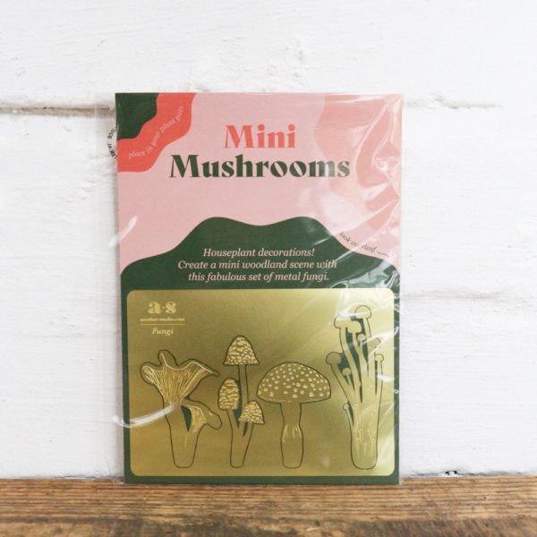 Mini Mushrooms Another Studio