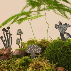 Mini Mushrooms - Silber
