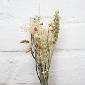 Trockenblumen - Strauß - Weiß-Natur - Mini