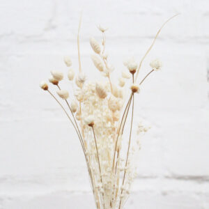 Trockenblumen - Strauß - Weiß Mini